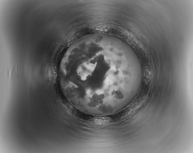 X0000094350707200711021433