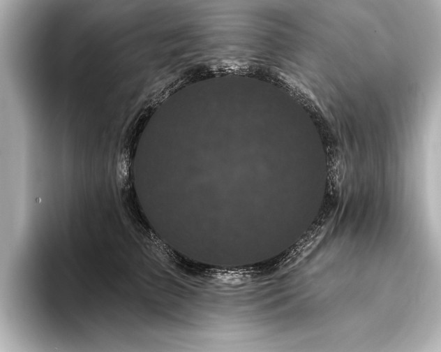 X0000094350709200711021433