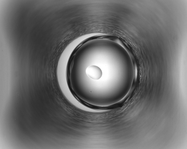 X0000094350711200711021433