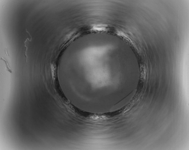 X0000094350712200711021433