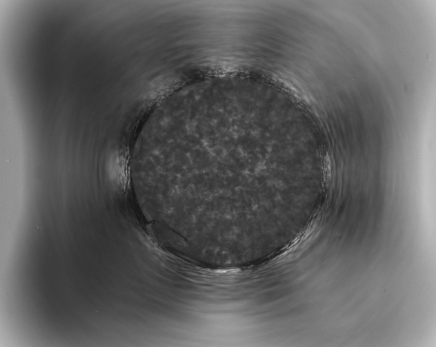 X0000094350719200711021433