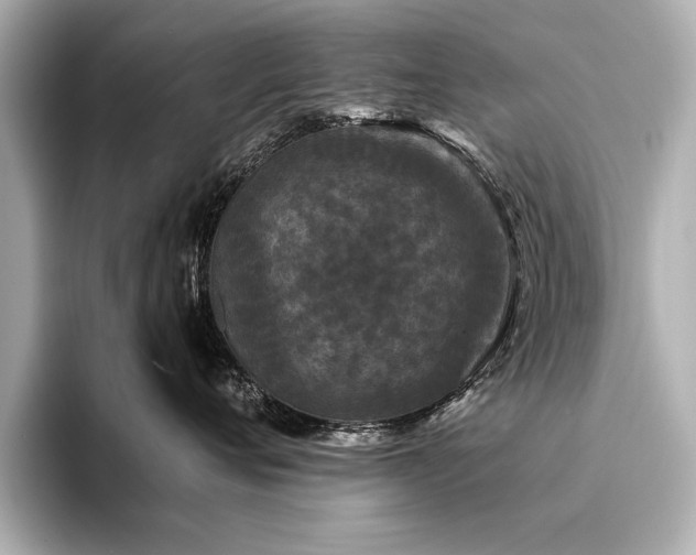 X0000094350720200711021433