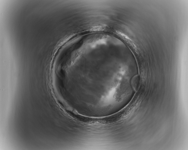 X0000094350721200711021432