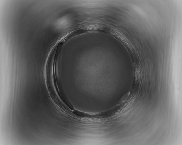 X0000094350722200711021432