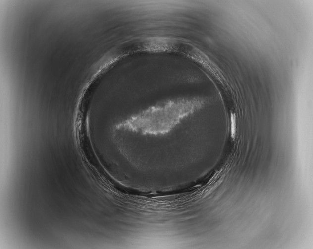 X0000094350723200711021432