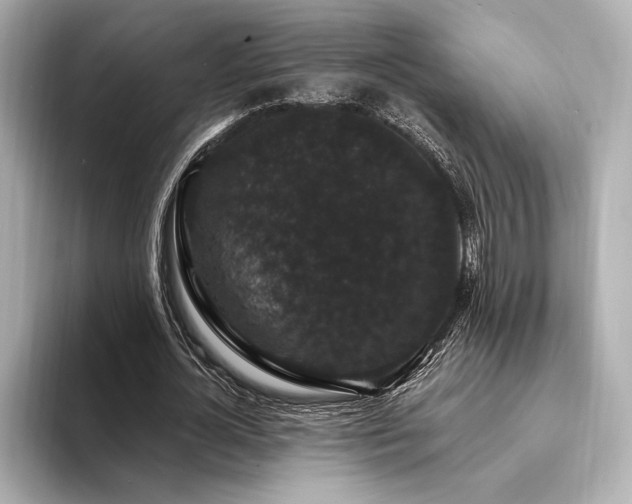 X0000094350724200711021432