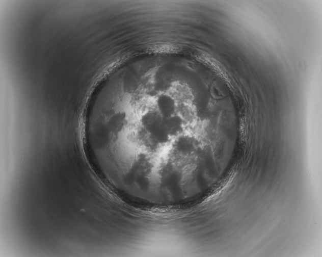 X0000094350725200711021432