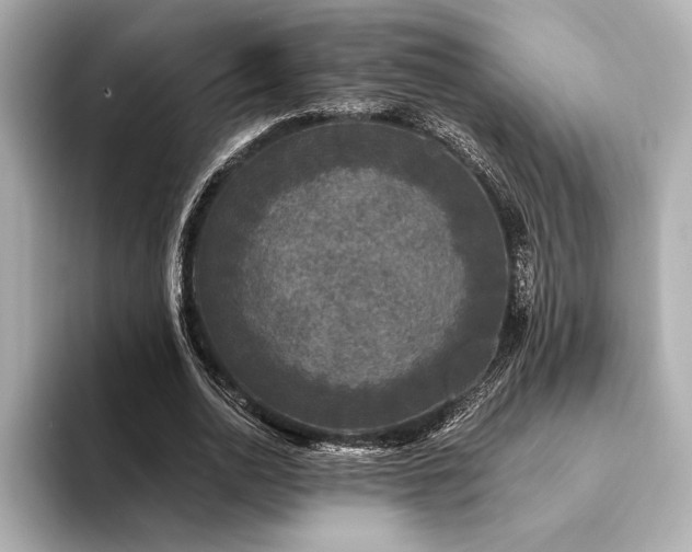 X0000094350726200711021432