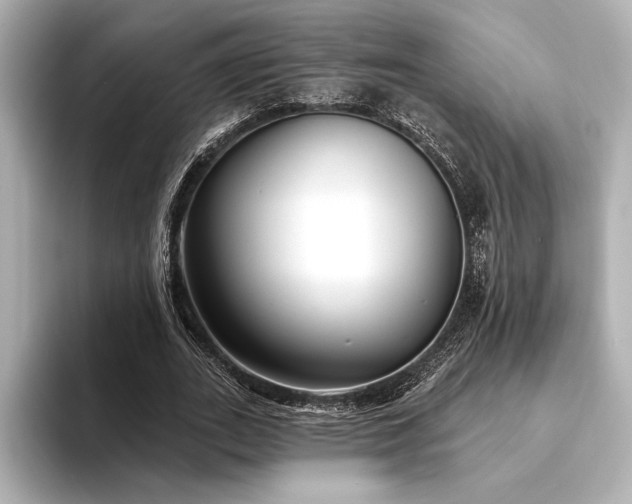 X0000094350727200711021432