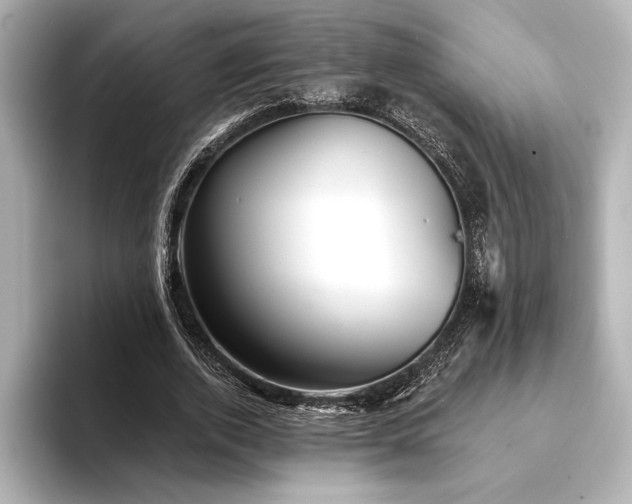 X0000094350728200711021432