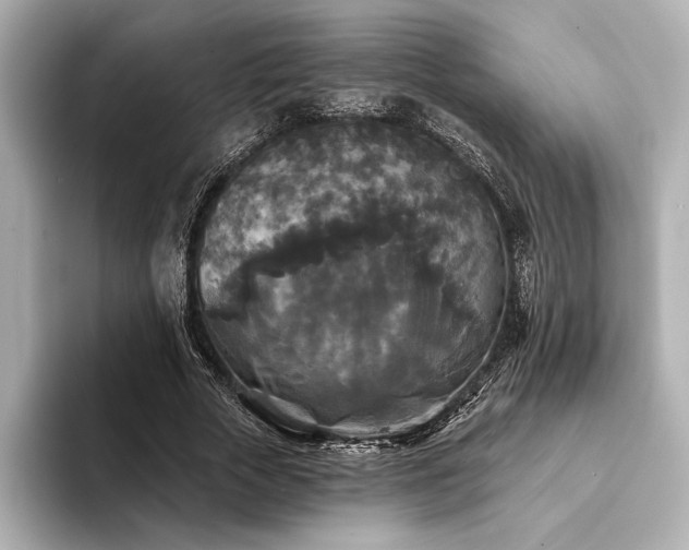 X0000094350729200711021432