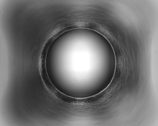 X0000094350730200711021432