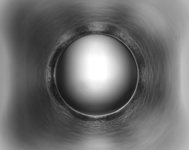 X0000094350731200711021432