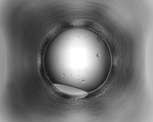 X0000094350733200711021432