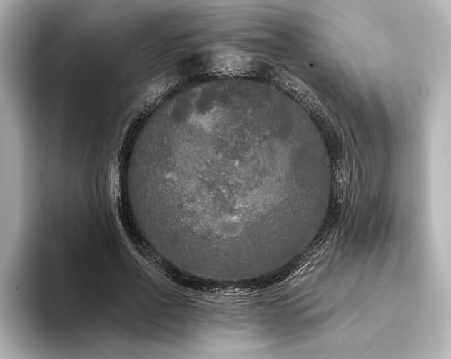 X0000094350734200711021432