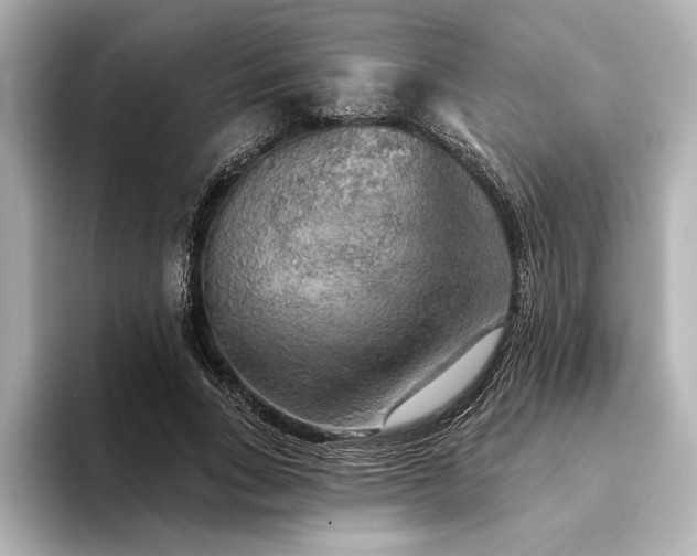 X0000094350735200711021432