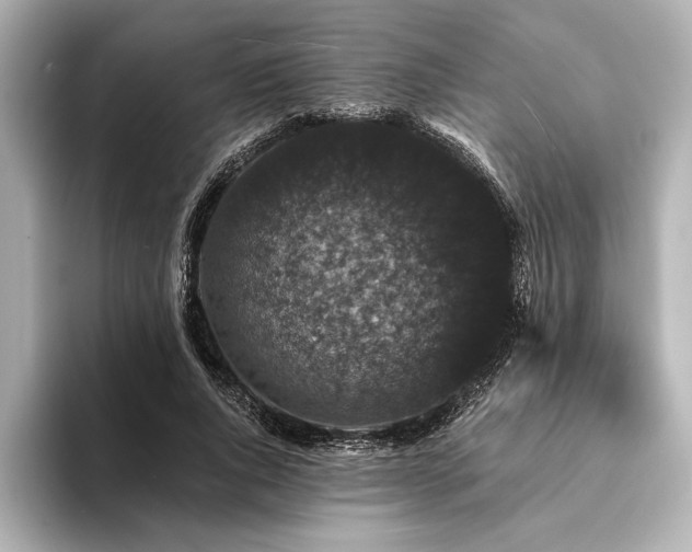 X0000094350736200711021432
