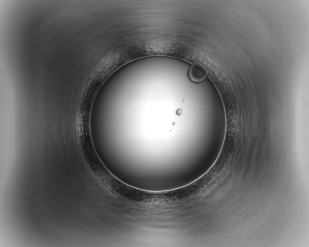 X0000094350738200711021432
