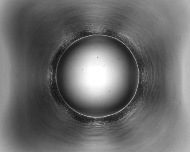 X0000094350739200711021432