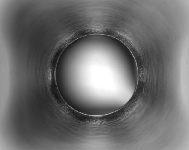 X0000094350740200711021432