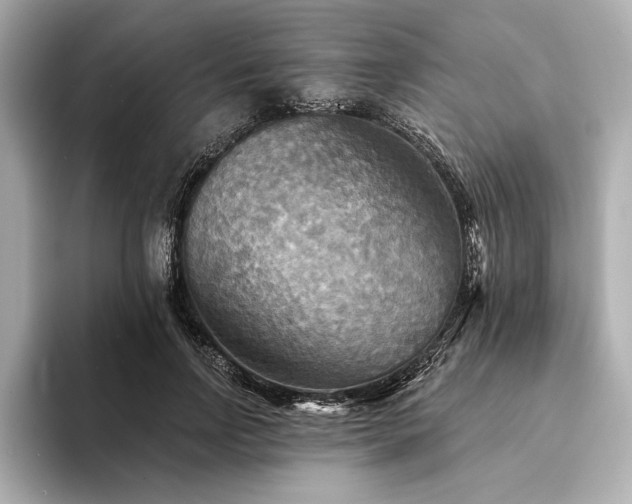 X0000094350742200711021432