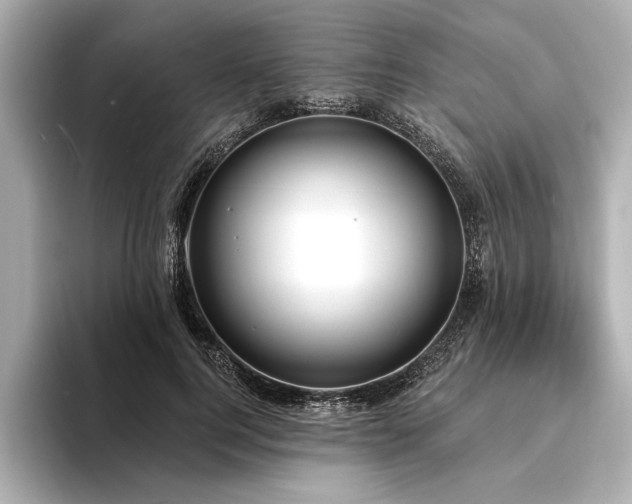 X0000094350744200711021432