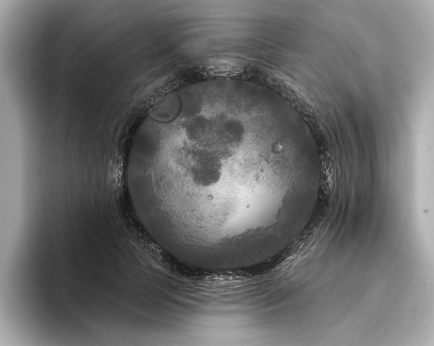X0000094350745200711021432