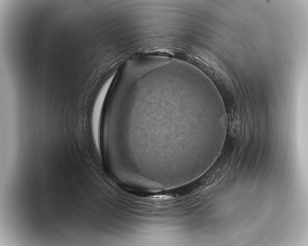 X0000094350748200711021432
