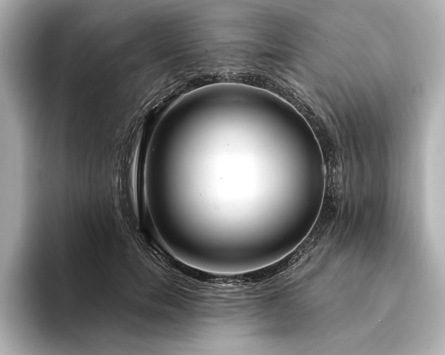 X0000094350750200711021432