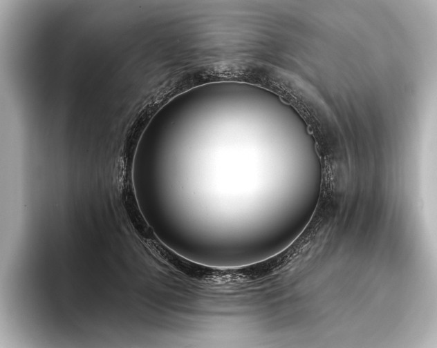 X0000094350752200711021432