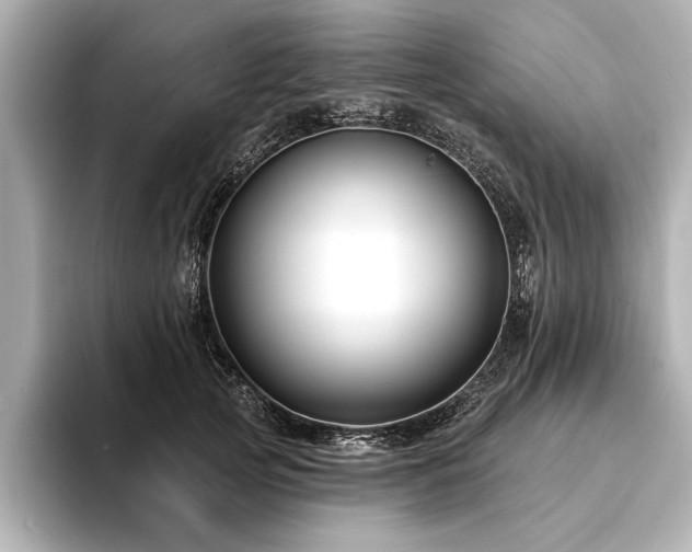 X0000094350753200711021432