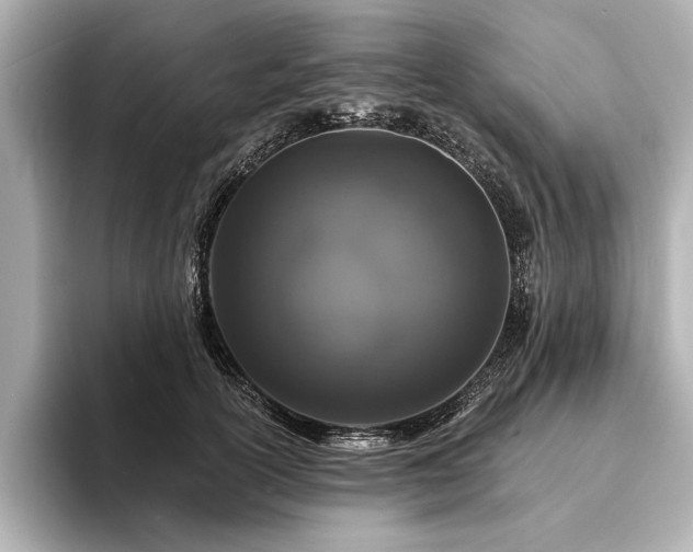 X0000094350754200711021432