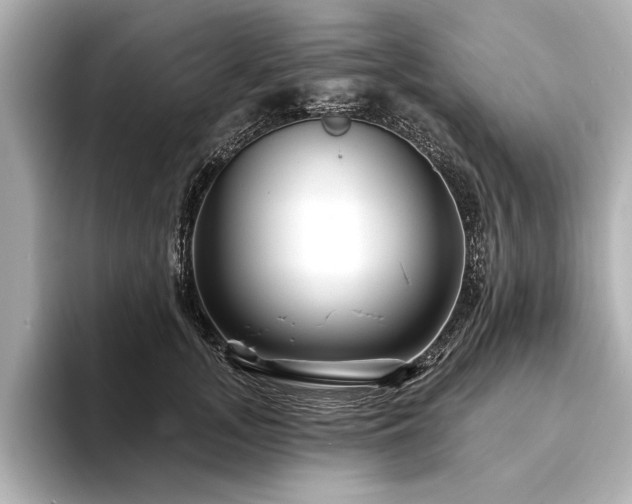 X0000094350755200711021432