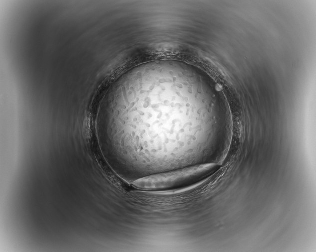 X0000094350757200711021432
