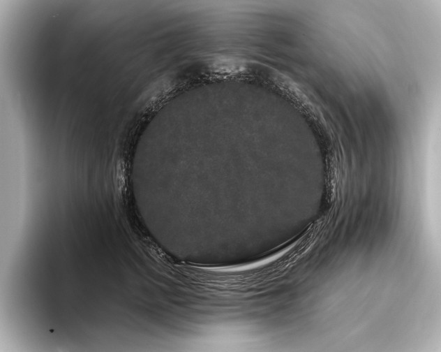 X0000094350758200711021432