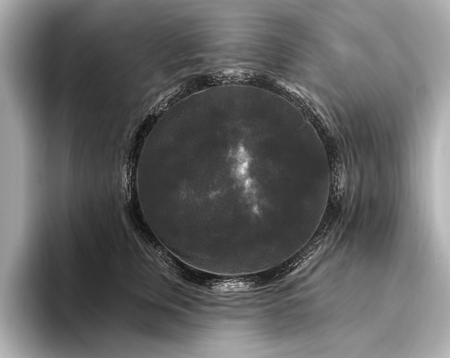 X0000094350759200711021432