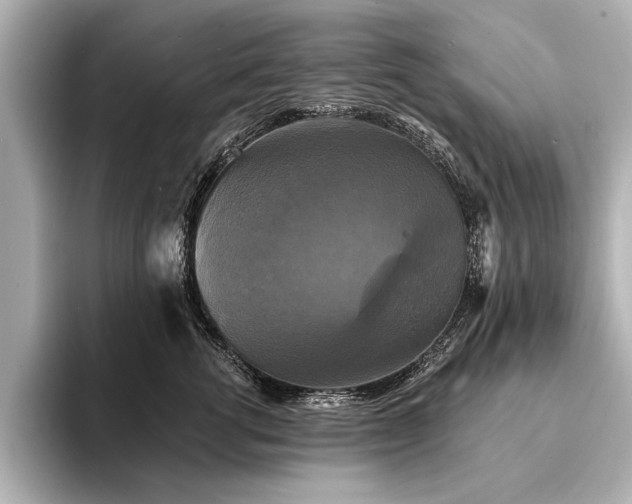 X0000094350762200711021432