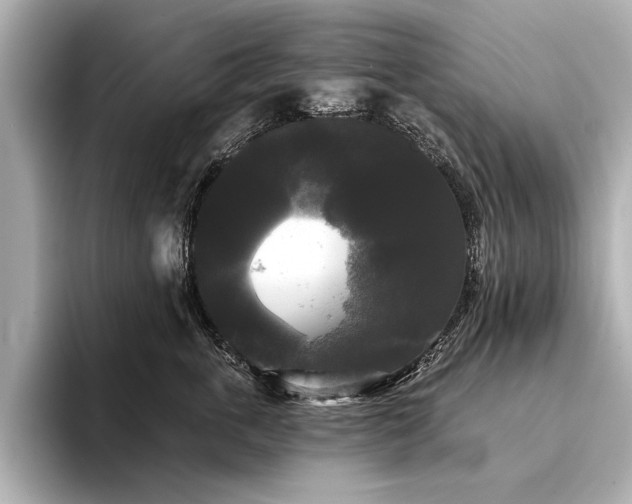 X0000094350763200711021432