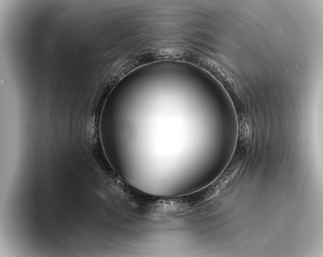 X0000094350764200711021432
