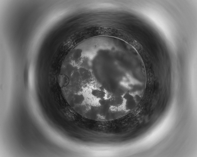 X0000094350765200711021432