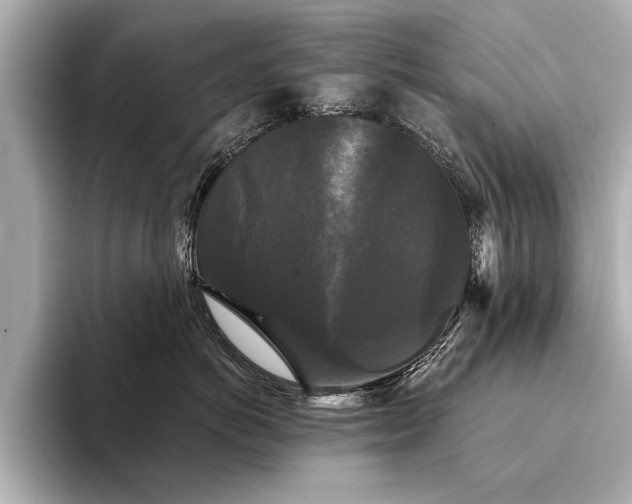 X0000094350766200711021432