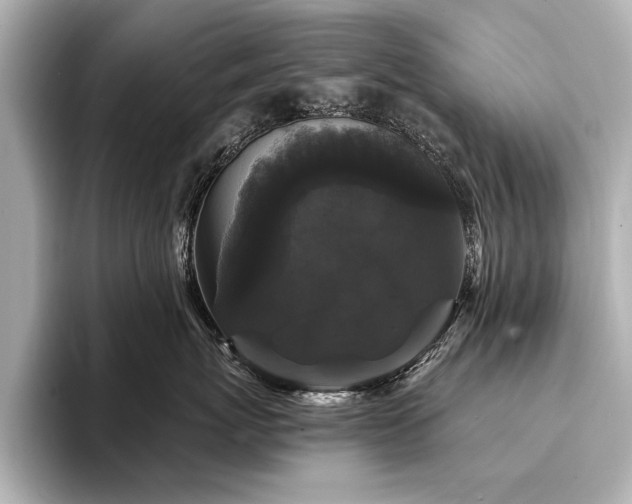 X0000094350767200711021433