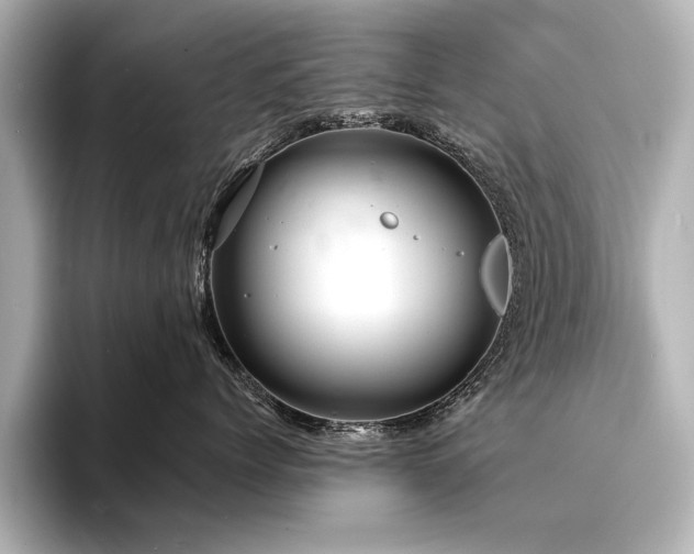 X0000094350768200711021433