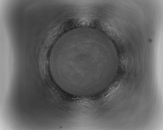 X0000094350769200711021432