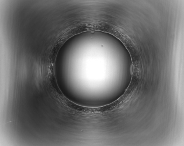 X0000094350770200711021432