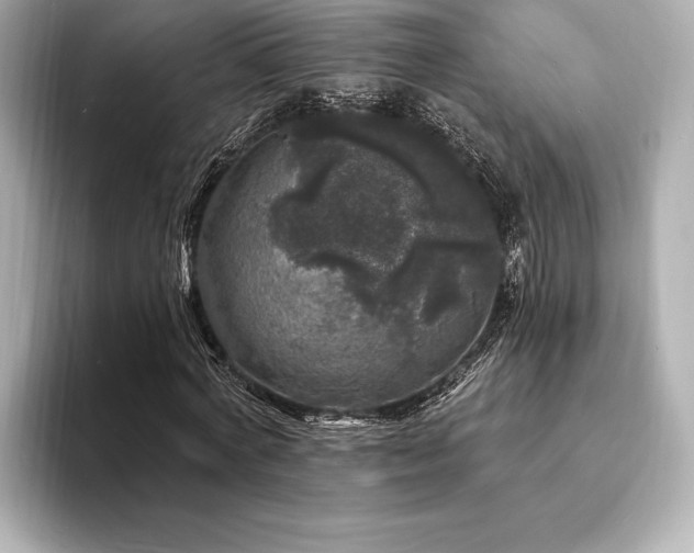 X0000094350772200711021432