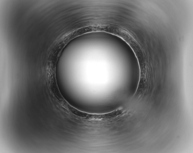 X0000094350773200711021432