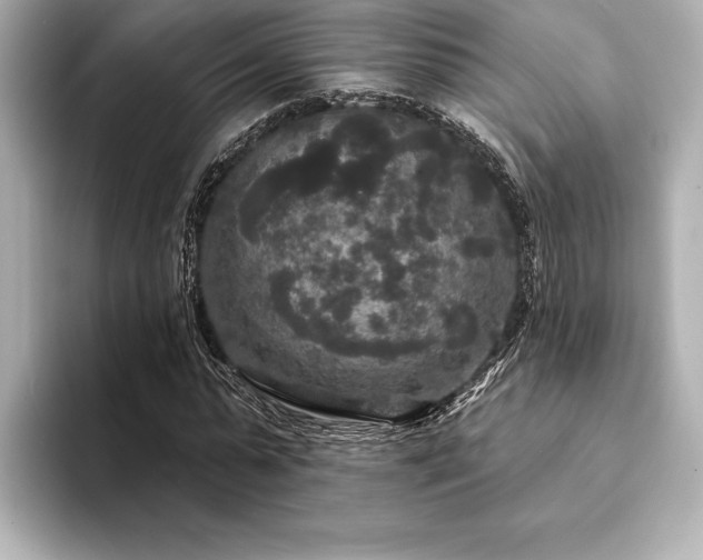 X0000094350775200711021432