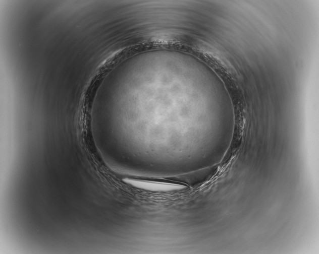 X0000094350776200711021432