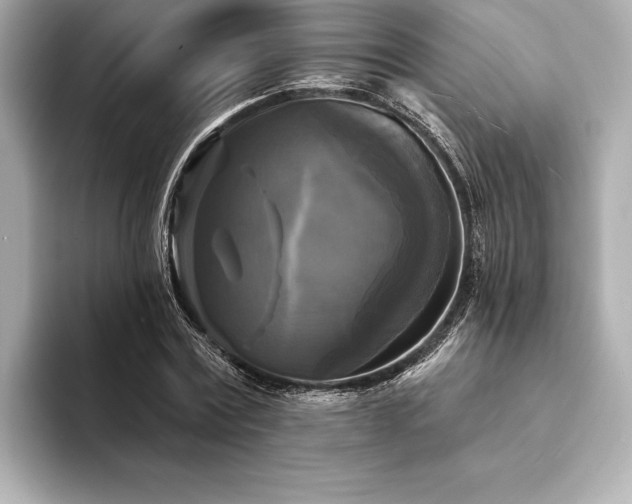 X0000094350779200711021432